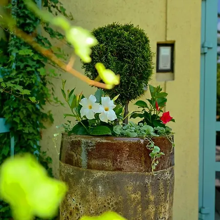 Delta In Отель Дзержонюв