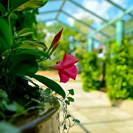 Отель Delta In 3*